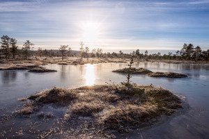Glassy winter bog pond