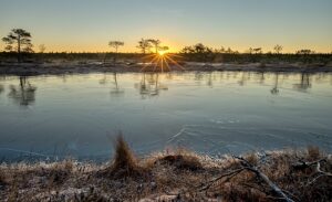 Frozen bog during sunrise