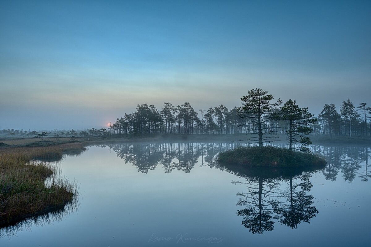 The morning of steaming bog pond