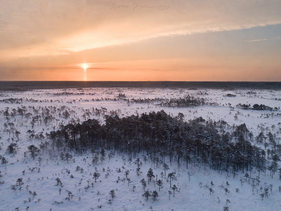 Talvine lume alla mattunud rabamaastik, kus selgelt on eristumas tihedamalt puudega asustatud rabasaared (Soomaa rahvuspark)